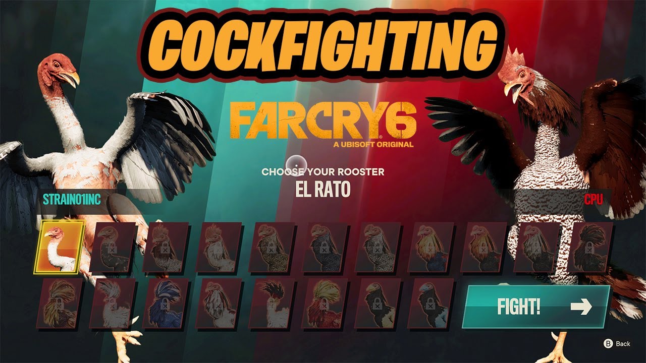 PETA призывает убрать из Far Cry 6 петушиные бои – Hot-Game.news - новости,  обзоры, рецензии с мира игр и технологий